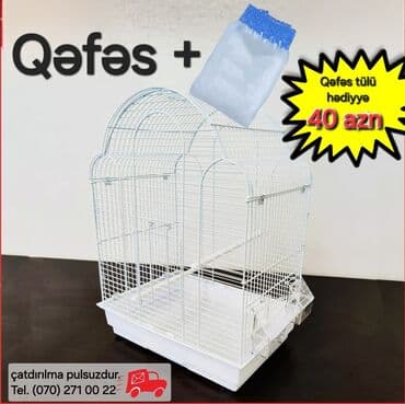 popuqay qefesi: Tutuquşu qəfəsi (papuqay qəfəsi). Korella, nerazlucnik, fişer — 1