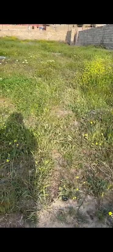 berdede torpaq satilir: Tikinti — 3