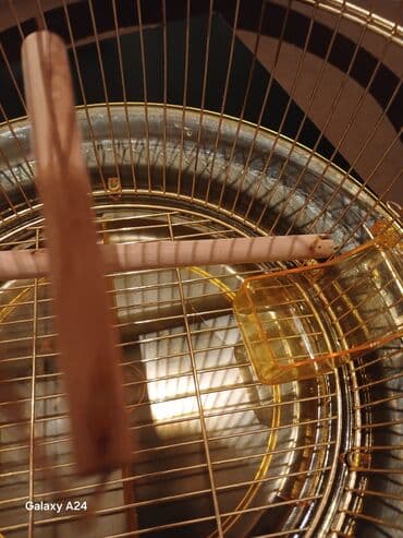 Xaltalar, qayışlar və tasmalar: Qızılı rəngdə dairəvi quş qəfəsi - Material: metal korpus, üst — 4