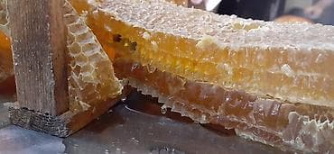 xalis bal: Məhsul: Şüşə bankalarda təbii arı balı - Şəkillərdə gördüyünüz kimi — 9