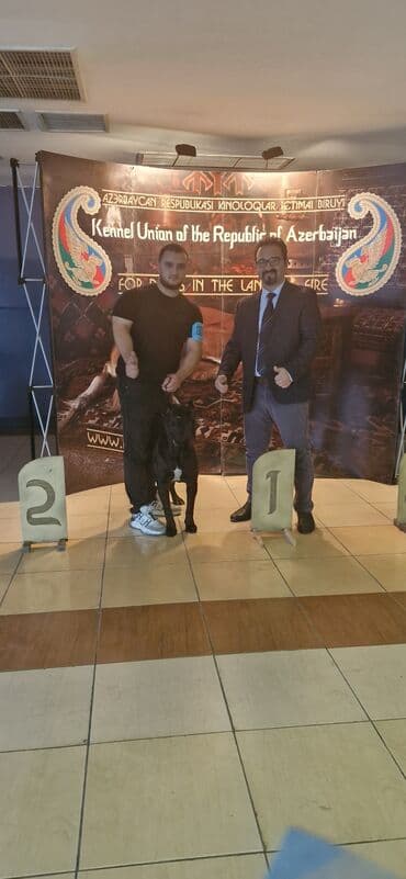 it yuvasi: Kane-Korso, Erkek, Sənədli, Ünvandan götürmə — 13