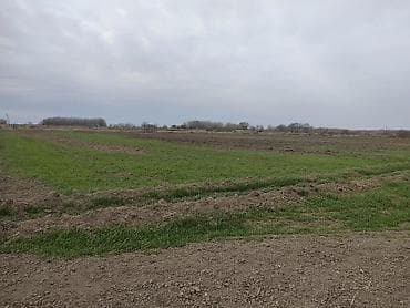 kohne tikili evler: 30000 sot, Kənd təsərrüfatı, Maklerlər narahat etməsin, Müqavilə — 6