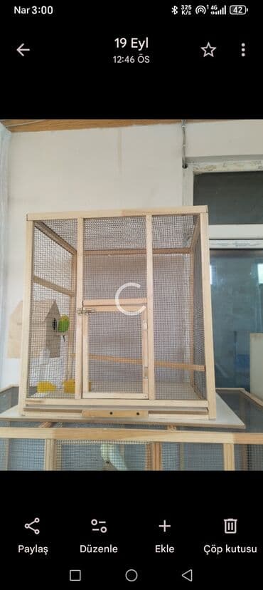 купить клетку для морской свинки: Qefes tekde satilir icindeki quslarla bir yersede isdiyen vacapa — 1