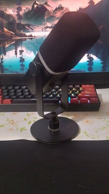 5 ci sinif ingilis dili kitabi lugeti: USB/XLR studiya mikrofonu – RGB işıqlı Kompüter noutbuk telefon v.s — 8