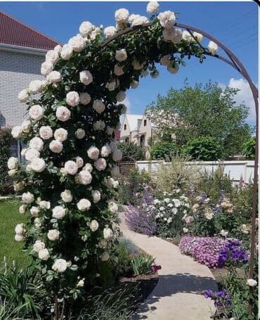 ağ dırnaq modelleri: Landşaft dizayin ummi abadliq qazon agaclar gul ciceklerlə bağlarin — 20