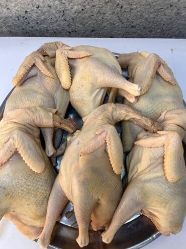 Süd məhsulları və yumurtalar: Tam təmizlənmiş bütöv toyuqlar - Məhsul: bütöv, lələksiz və içi — 3