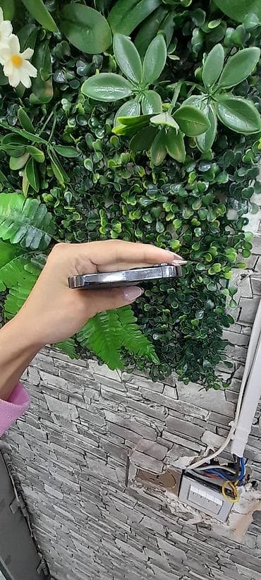 IPhone 12 Pro Max, Черный, Face ID — 5