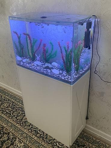 heyvalar: Akvarium-şkaf, Balıqlarla birlikdə, 90 l, Ödənişli çatdırılma, Ünvandan götürmə — 1