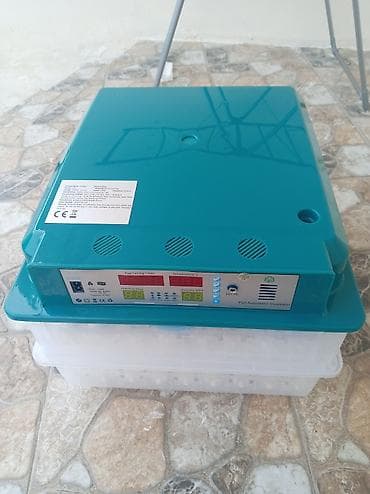 Оборудование для производства: Полностью автоматическая — 4