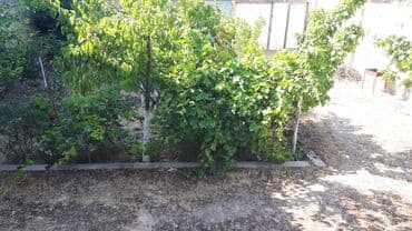 Куплю дом: Поселок Бинагади 3 комнаты, 100 м², Средний ремонт — 2