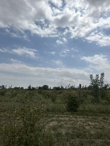 xacmazda satilan torpaqlar: Kənd təsərrüfatı, Mülkiyyətçi — 3