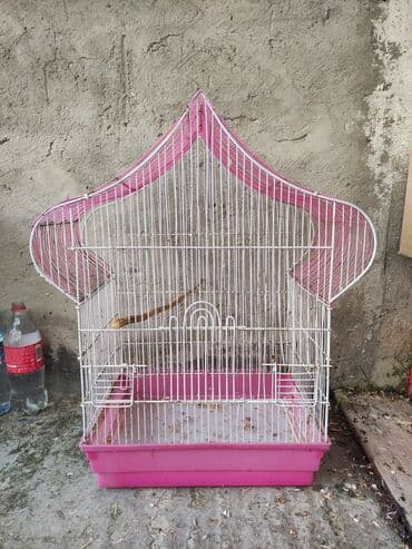 Şampunlar: Qəfəslər quslar qəfəslər 20-30 Azn valnist quslar 12-14-15 Azn korella — 1