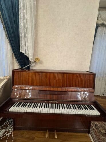 Velosiped aksesuarları: Piano, Belarus, Akustik — 1