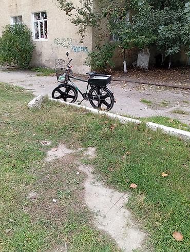 velospet: Real alıcıya endirim olacaq. Şəhər gəzintisi və — 1