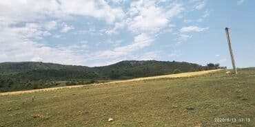 150 sot, Mülkiyyətçi, Kupça (Çıxarış) lalafo.az -da 150 sot, Mülkiyyətçi, Kupça (Çıxarış)