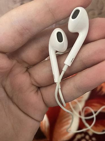 Nausniq arginal kohne ayfonlara duz 14 seriyyalarina kimi taxila — 2