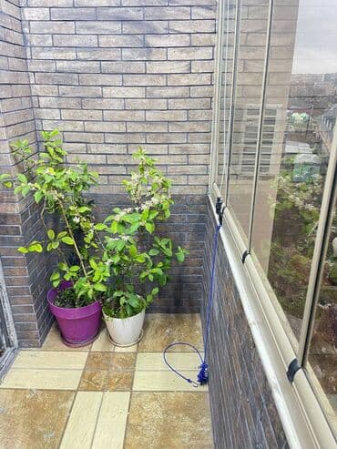 zal satılır: 3 otaqlı, Yeni tikili, m. Həzi Aslanov, 120 kv. m — 22