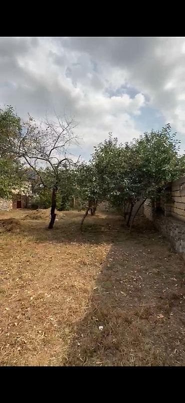 qara qarayev m kiraye menziller: 4 sot — 2