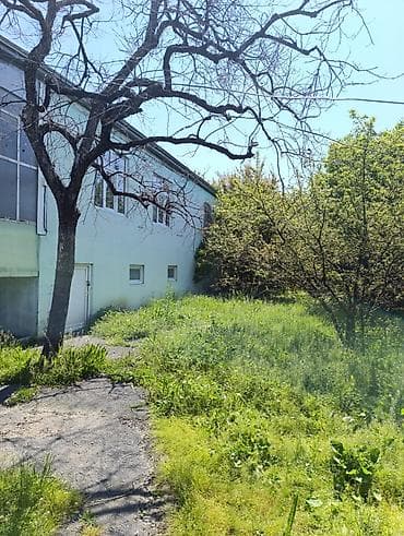 gencede gunluk kiraye evler: 4 otaqlı, 100 kv. m, Kredit yoxdur, Orta təmir — 5