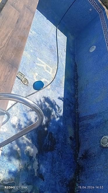 tulpan gulleri: 🏊‍♂️ HOVUZ TƏMİZLİK XİDMƏTİ 🏊‍♀️ Hovuzunuz yaşıllaşıb və ya — 1