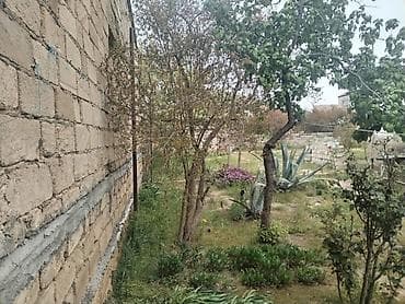 torpa: 3 sot, Tikinti, Mülkiyyətçi, Kupça (Çıxarış) — 3
