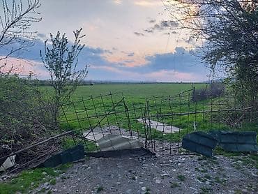 lalafo.az quba: Kənd təsərrüfatı — 1