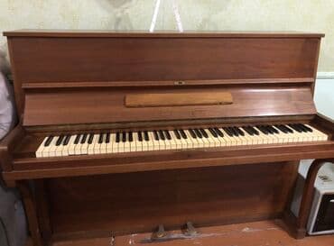 Sadece koklenmeye ehdiyaci var hec bir problemi yoxdur. Nerimanovda — 1