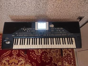 idman trenajorları nin satışı: Sintezator, Korg — 2