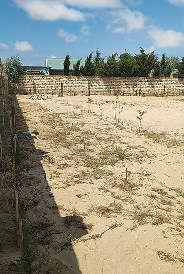 12 sot, Mülkiyyətçi, Kupça (Çıxarış) — 3