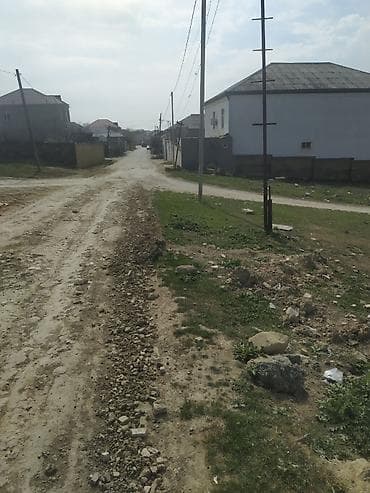 10 sot, Tikinti, Mülkiyyətçi, Kupça (Çıxarış)