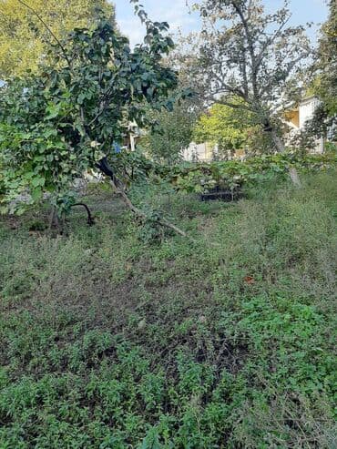 torpağ sahesi: 7 sot, Tikinti, Makler, Kupça (Çıxarış) — 5