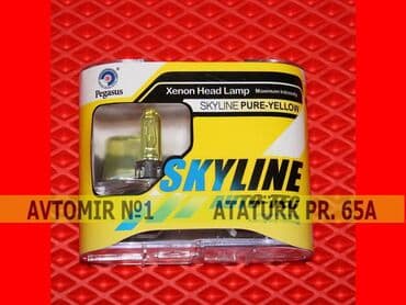 işıq lampası: 9005 skyline lampa 🚙🚒 ünvana və bölgələrə ödənişli çatdırılma — 1