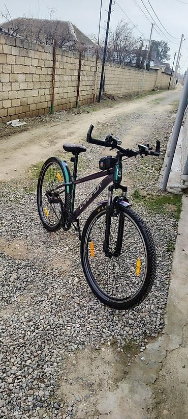 velosiped aksesuari: Şəhər velosipedi 29" — 1