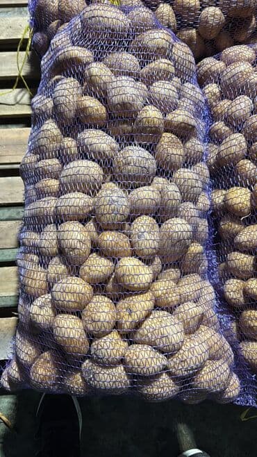 Варенье: Toxum və iri kartof satılır — 2