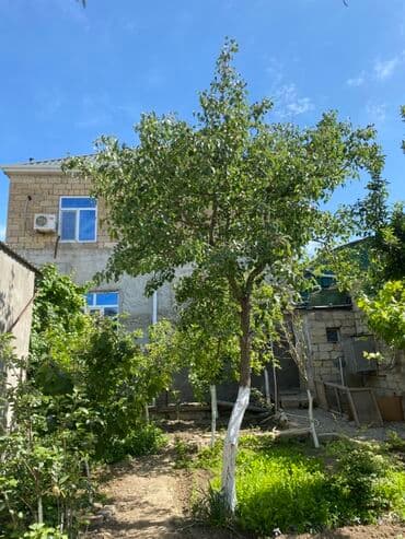 xalqlar dostluğu evlər: 5 otaqlı, 180 kv. m, Yeni təmirli — 3