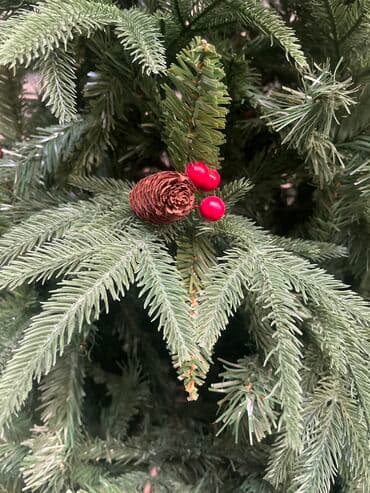 yolka ucuz: 150-100 180-150 210-200 240-250 270-350 300-450 Çatdırılma xidmətimiz — 4