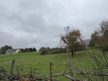 qalmaq serti ile: 43 sot, Kənd təsərrüfatı, Mülkiyyətçi, Kupça (Çıxarış) — 10