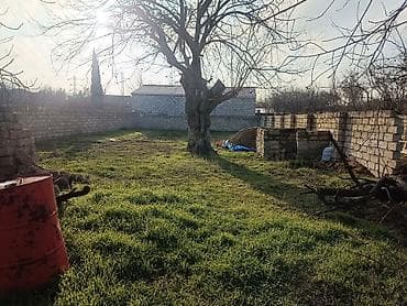 4 sot, Kənd təsərrüfatı, Barter mümkündür, Müqavilə