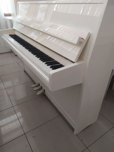 л.м.бреусенко т.а.матохина русский язык 5 класс: Piano Her nov pianinolarin satisi Almaniya Çexiya ve Rusiya — 13