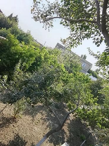 ev gence: Kənd təsərrüfatı — 3