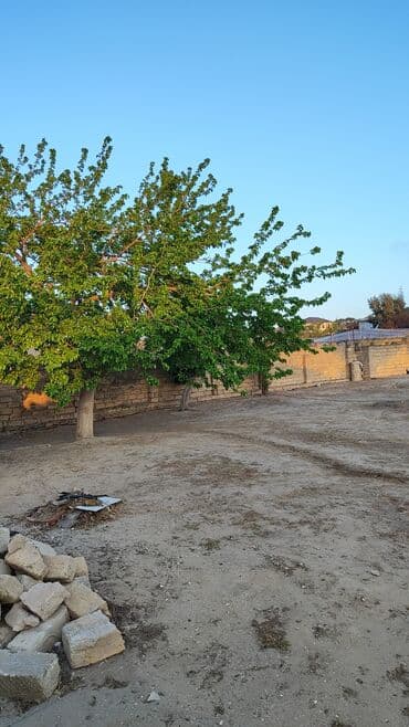 xacmaz dasinmaz emlak: 9 sot, Tikinti, Müqavilə — 1