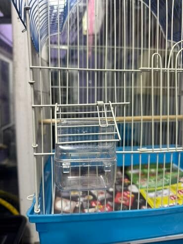 лоток для кошек баку: İri ölcülü təzə qəfəs satılır istifadə olumayıb yeni qəfəsdi qiymət 25 — 3