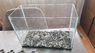 Akvarium satılır - Şüşə akvarium, düzbucaqlı forma - Təxminən orta