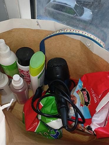 bala pişik: 6 ayliq,pudel cinsidir esl ev itidir,oynagan itdi. Butun baximlari — 5