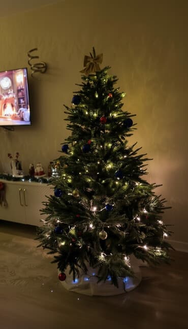 evkalipt ağacı: Əla vəziyyətdədir. Keçən il almışdım.180 sm ölçüdür. 230 manata idi — 1