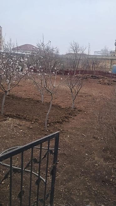 Beton və beton məmulatları: 4 sot torpaq Mehdiabad .Əlavə məlumat ucun əlaqə saxlaya bilərsiz — 2