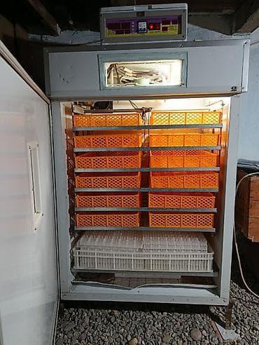 Полностью автоматическая — 1