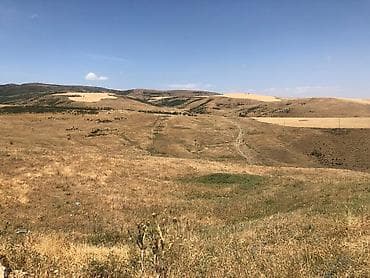 memar әcәmi 2: 44 sot, Biznes üçün, Mülkiyyətçi, Kupça (Çıxarış) — 2