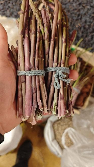 pomidor turşusu: Məhsul: Yabanı qulançar (asparagus) dəstələri Təsvir: - Yığım — 3