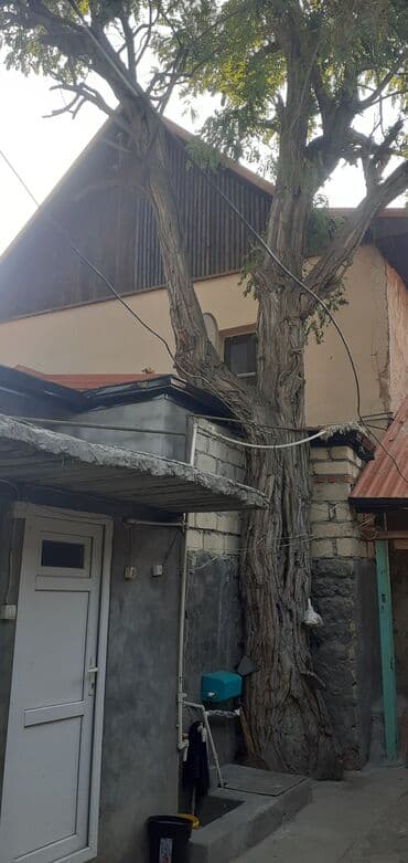 споты потолочные в баку: Kubiklər — 7